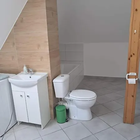 Projekt Komfortowy Dom Dla 10 Osob Nad Jeziorem *