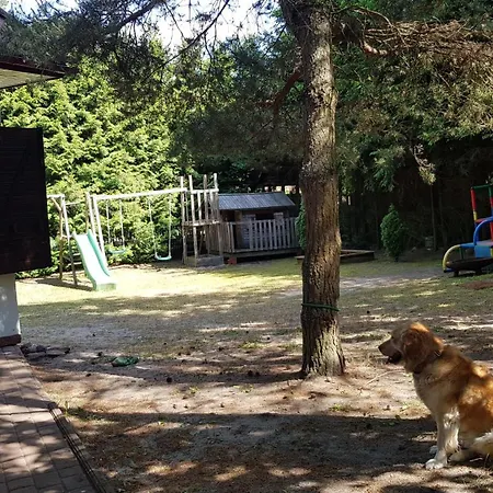 Dom Projekt Nad Jeziorem Pluszne *