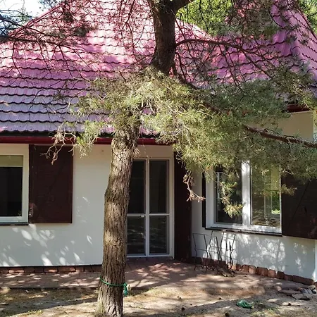Дом отдыха 10 Osobowy Dom Projekt Nad Jeziorem Pluszne