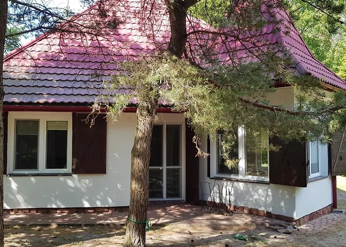 Feriehus 10 Osobowy Dom Projekt Nad Jeziorem Pluszne