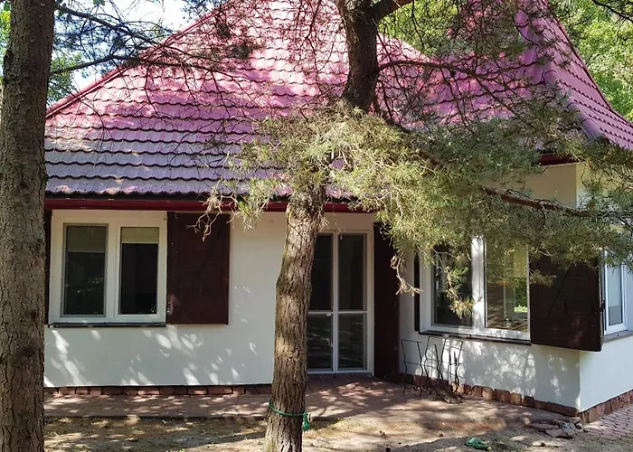 10 Osobowy Dom Projekt Nad Jeziorem Pluszne Feriehus